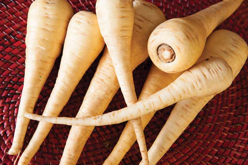 parsnips