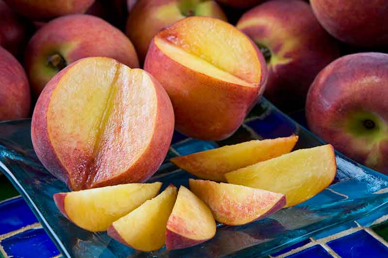 Peacharines