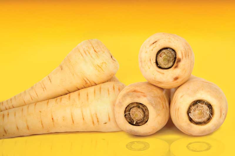 parsnips
