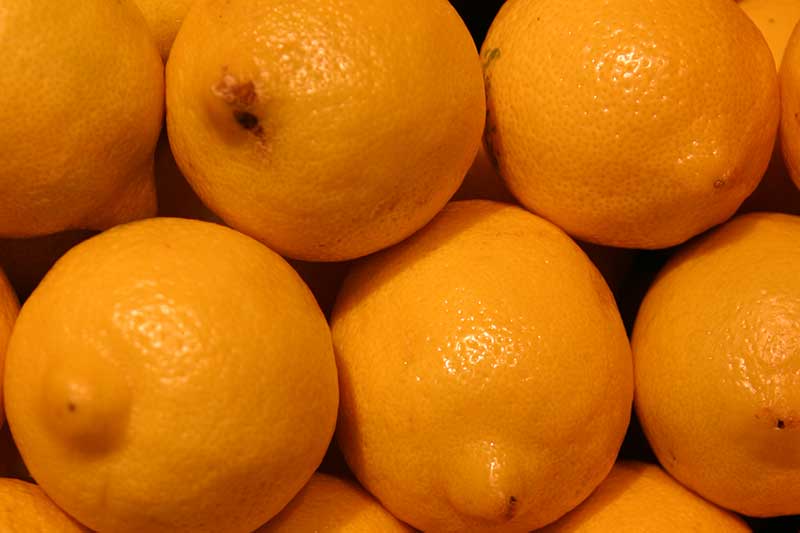 meyer lemons