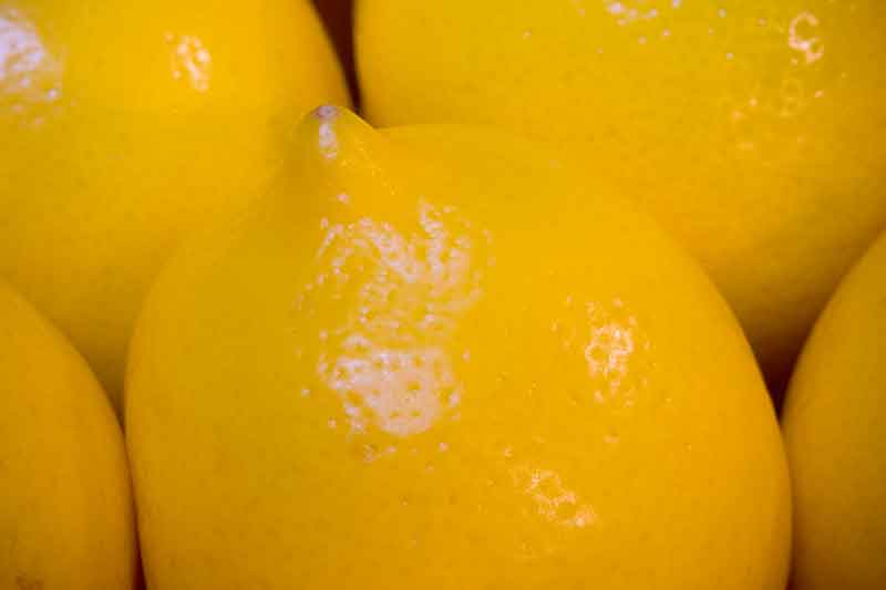 Meyer lemons