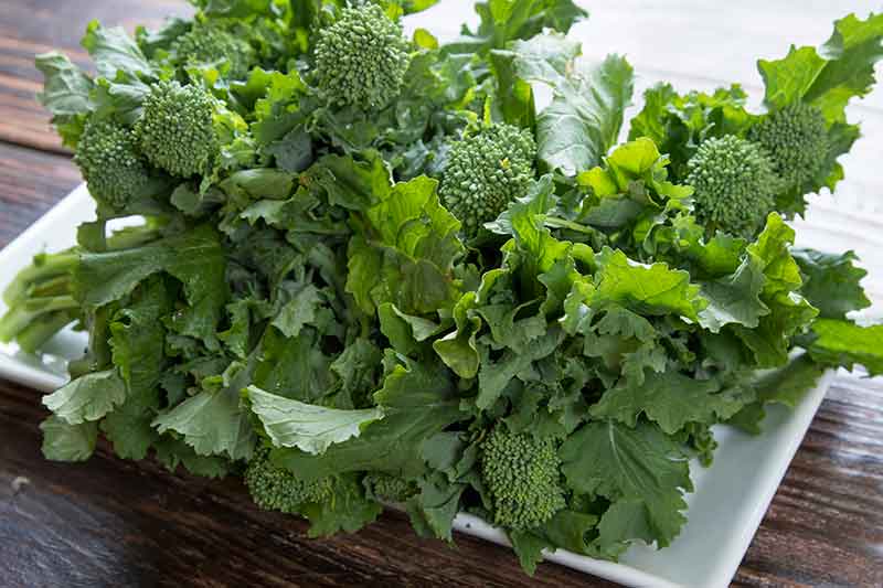 Broccoli Rabe